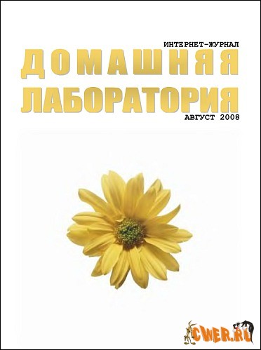 Домашняя лаборатория №08 (август) 2008