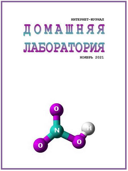 Домашняя лаборатория №11 ноябрь 2021