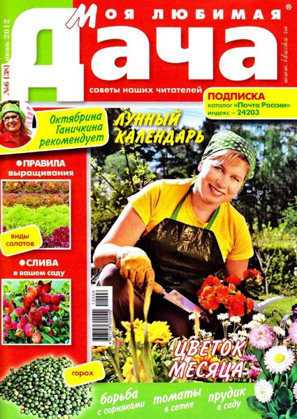 Моя любимая дача №6 2012