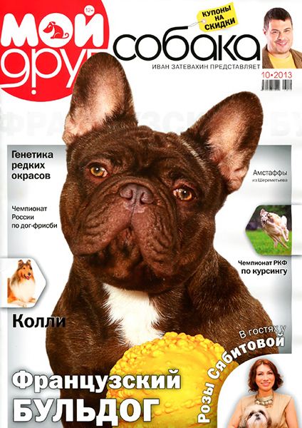 Мой друг собака №10 2013