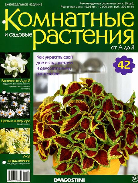 Комнатные и садовые растения от А до Я №42 2014