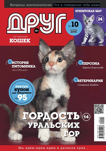 Друг для любителей кошек №10 2015