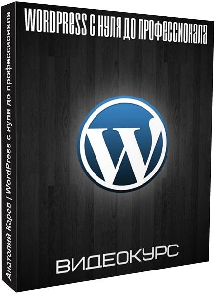 WordPress с нуля до профессионала