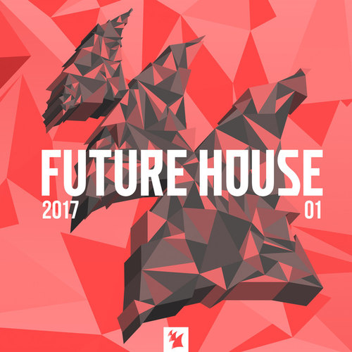 Future House 2017-01