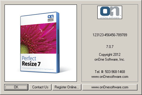 About Perfect Resize Professional Edition