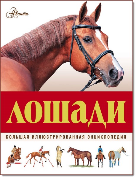 Д. Холдернесс-Роддам. Лошади. Большая иллюстрированная энциклопедия