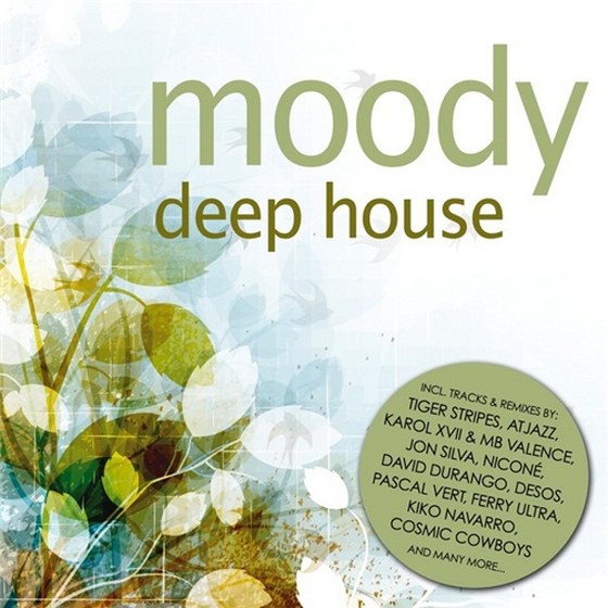 скачать Moody Deep House (2011)