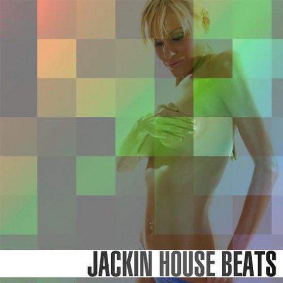 скачать Jackin House Beats Vol. 3 (2012)