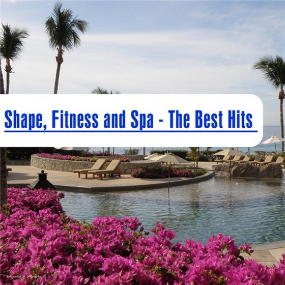 скачать Shape Fitness And Spa The Best Hits (2012)