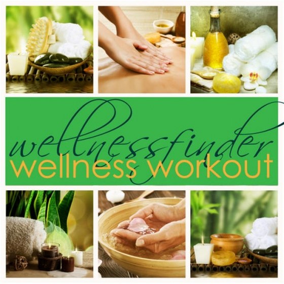 скачать Wellnessfinder. Wellness Workout (2011)