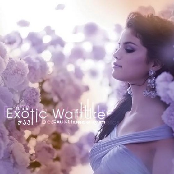 скачать Exotic Wafture #33 (2013)