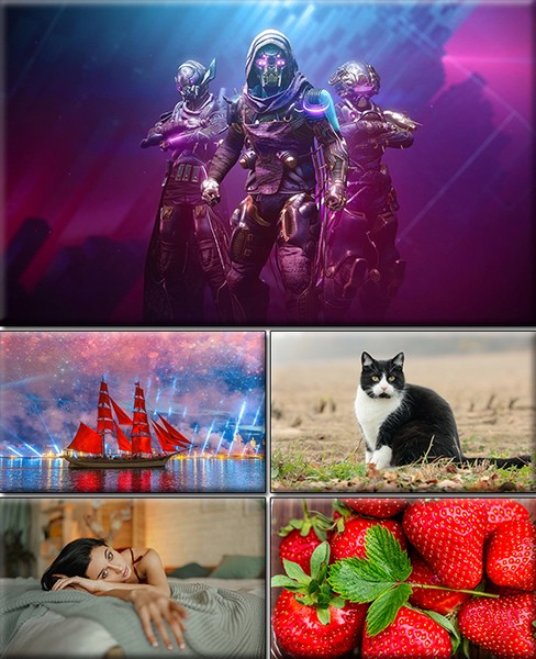 Computer Desktop Wallpapers Collection. www.cwer.ru