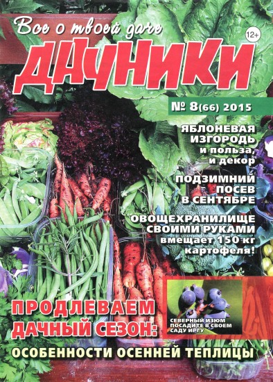 Дачники 8 2015