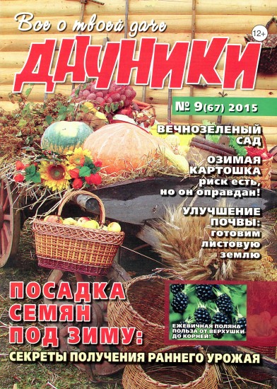 Дачники 9 2015