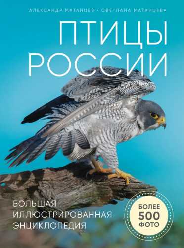 Птицы России. Большая иллюстрированная энциклопедия