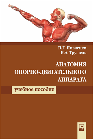 П.Г. Пивченко. Анатомия опорно-двигательного аппарата