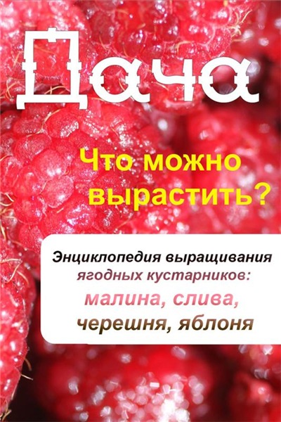 И. Мельников. Дача. Что можно вырастить? Энциклопедия выращивания ягодных кустарников: малина, слива, черешня, яблоня