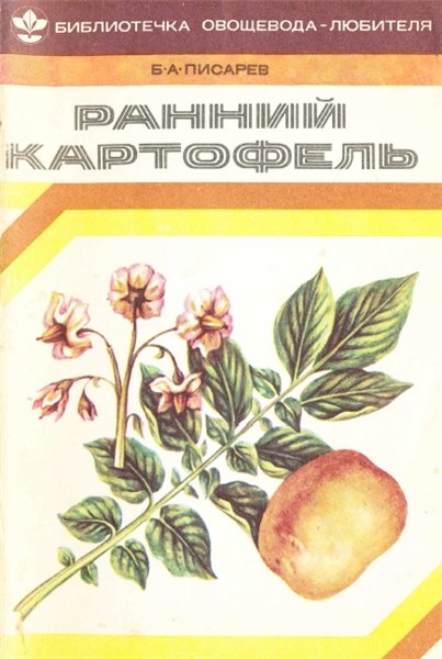 Б.А. Писарев. Ранний картофель