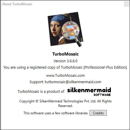 TurboMosaic 3.6.6.0 Professional-Plus Edition + Portable