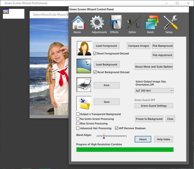 Green Screen Wizard Professional 11.3
