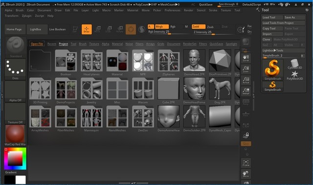 Pixologic Zbrush 2020.0