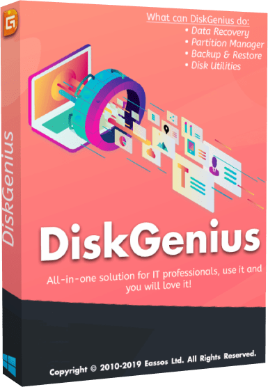 DiskGenius Professional