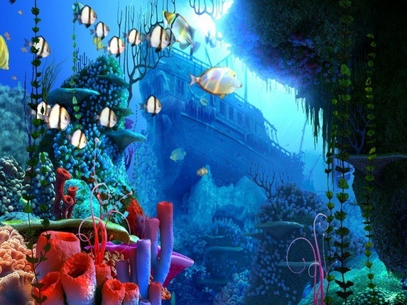 Coral Reef 3D Screensaver