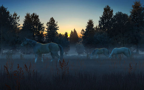 Fog Horses 3D Screensaver