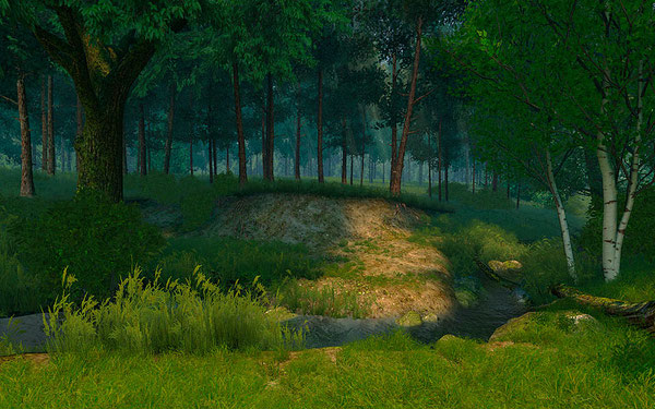 Summer Forest 3D Screensaver