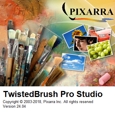 TwistedBrush Pro Studio