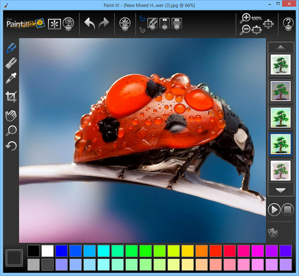 Corel Paint It! 
