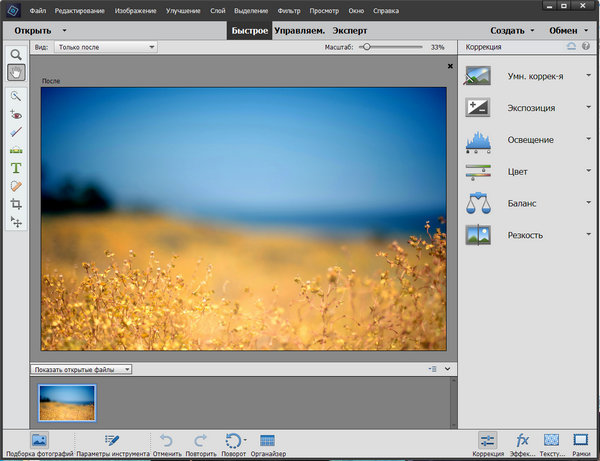 Adobe Photoshop Elements 14