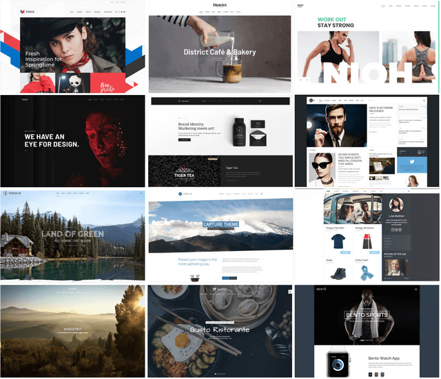 YooTheme Pro Wordpress Templates