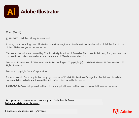 Adobe Illustrator 2021