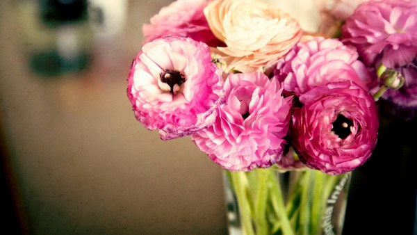 Best Mixed Wallpapers Pack #335-336