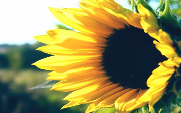 New Mixed HD Wallpapers Pack 178