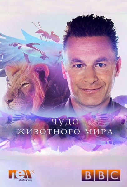 Чудо животного мира (2014) HDTVRip