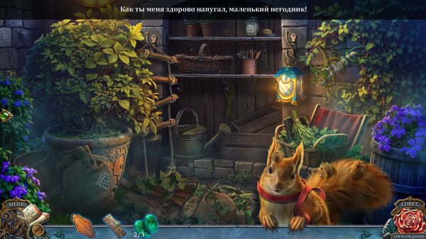 Живые легенды 13: Завораживающая мелодия. Коллекционное издание