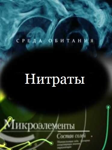 Среда обитания. Нитраты