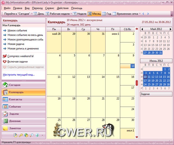 Efficient Lady's Organizer 3