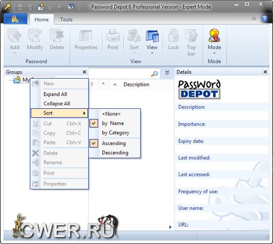 Password Depot Professional 6