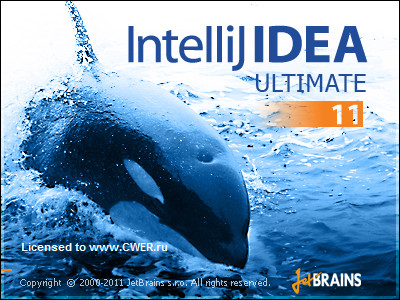 IntelliJ IDEA