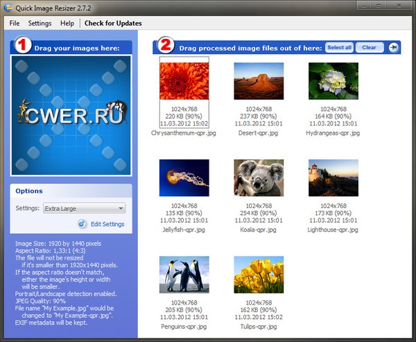 DzSoft Quick Image Resizer 2