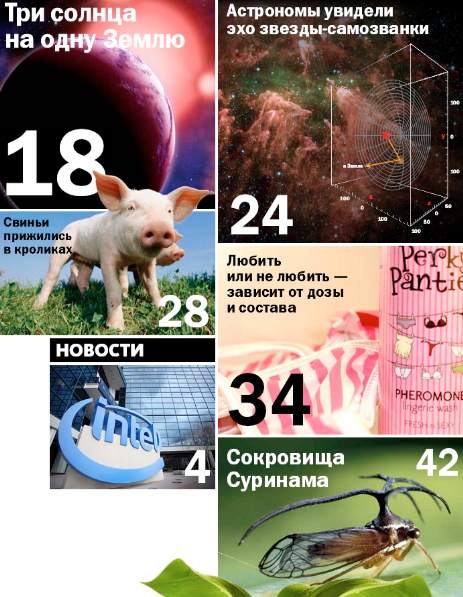 Детали мира №6 (февраль 2012)с